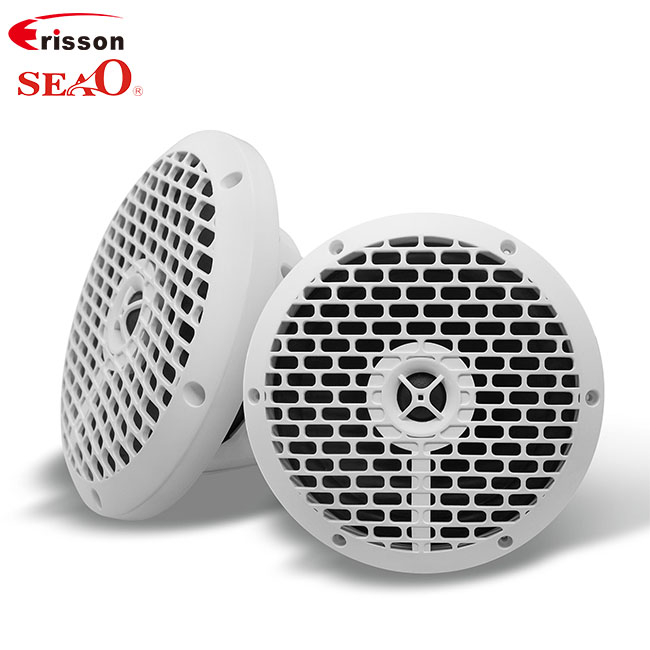 Custom 100W 6.5" Marine Speakers | Waterproof & Fog-proof | Private Mold Factory